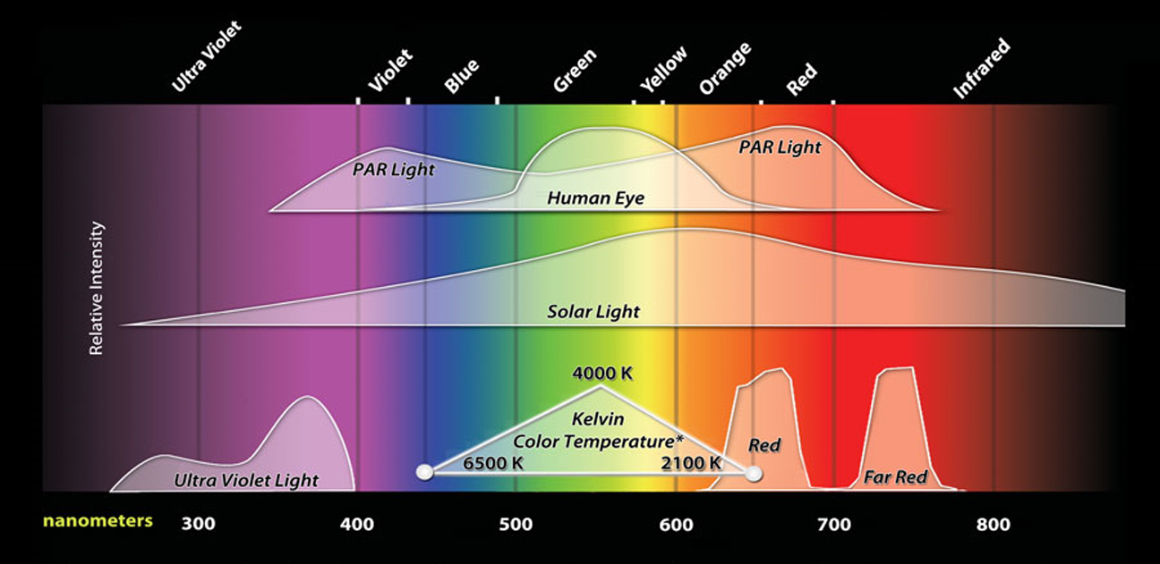 prehledny graf svetelneho spektra